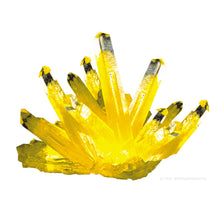 Load image into Gallery viewer, Space Age Crystals® - Item 632: Mylar Pack: Grow &quot;CITRINE&quot;