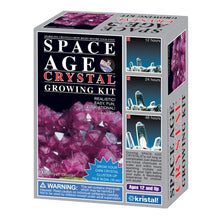 Load image into Gallery viewer, Space Age Crystals® - Item 647: Grow &quot;Amethyst&quot;