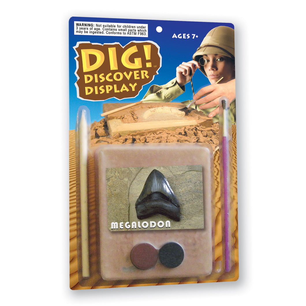 DIG! & DISCOVER™: Blister Kit: Megalodon Shark Tooth