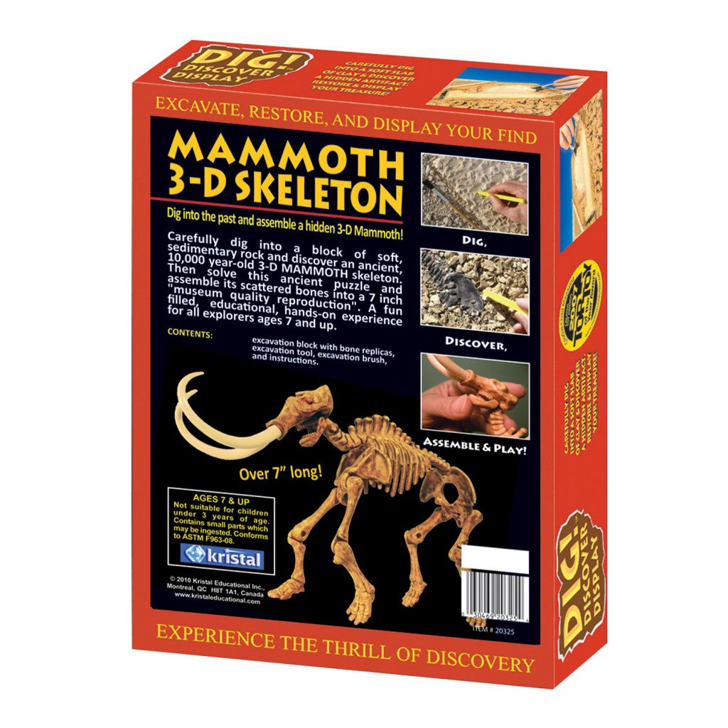 DimMoire【ディムモアール】Dig in SkullオフショルT DIG! & DISCOVER™: 3-D Mammoth – Kristal! Corporation