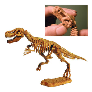 DIG! & DISCOVER™: 3-D Tyrannosaurus Rex Skeleton