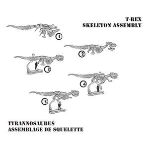 DIG! & DISCOVER™: 3-D Tyrannosaurus Rex Skeleton