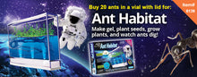 Load image into Gallery viewer, Space Age™ Ants - &quot;20 real ants&quot; are shipped in a vial&quot; (US only)