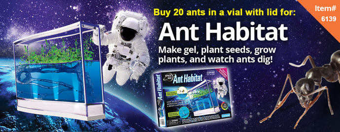 Space Age™ Ants - 