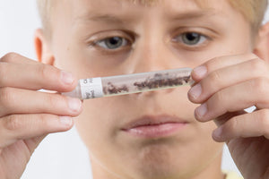 Space Age™ Ants - "20 real ants" are shipped in a vial" (US only)