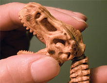 Load image into Gallery viewer, DIG! &amp; DISCOVER™: 3-D Tyrannosaurus Rex Skeleton