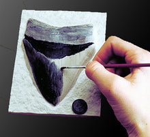 Load image into Gallery viewer, DIG! &amp; DISCOVER™: Blister Kit: Megalodon Shark Tooth