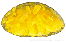 Load image into Gallery viewer, Space Age Crystals® - Item 663: Grow 6 &quot;Quartz &amp; Amber&quot; Geodes &amp; Crystals