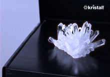 Load image into Gallery viewer, Crystal Growing Kit™ - Item 2311B: Grow &quot;Quartz&quot;